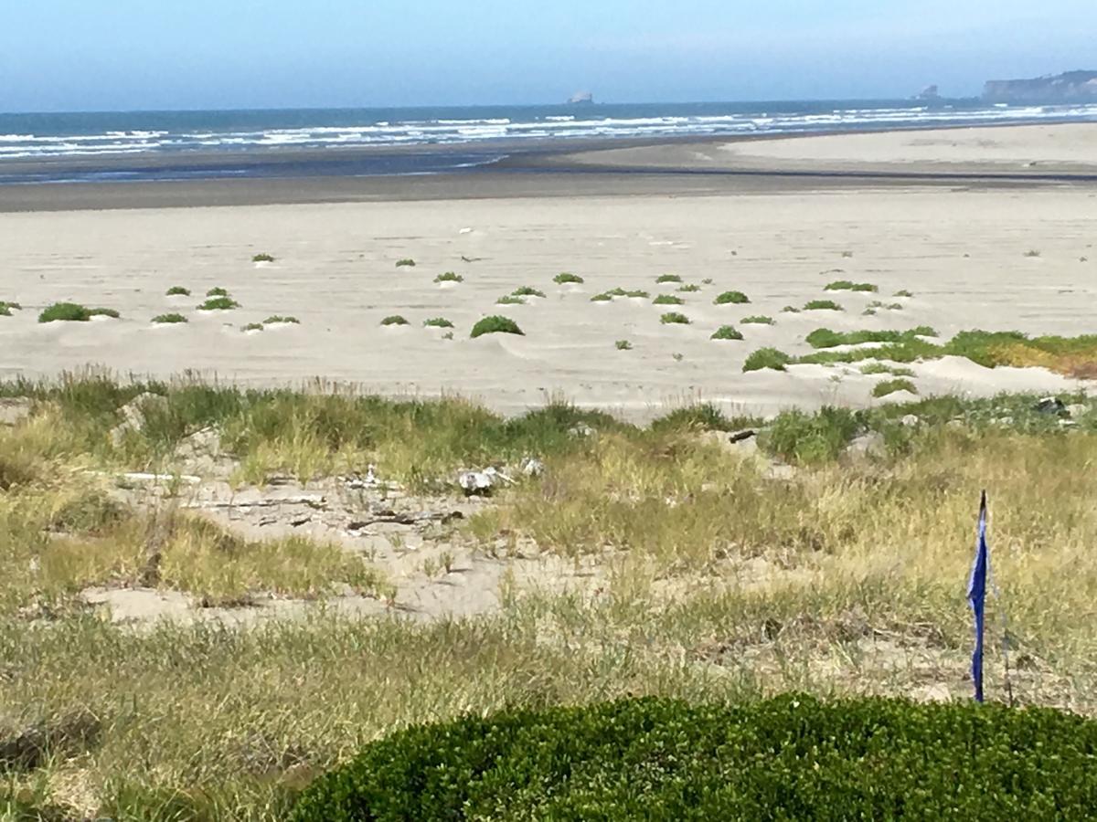 Hi-Tide Ocean Beach Resort Moclips Exterior photo